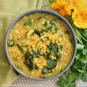 Indian Spiced Stinging Nettle Soup
