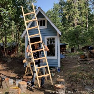 Simple and Sturdy Loft Ladder