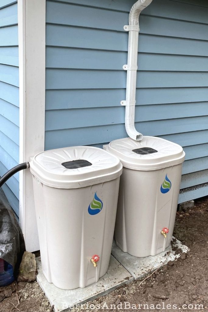 How to install simple daisy-chained rain barrels.
