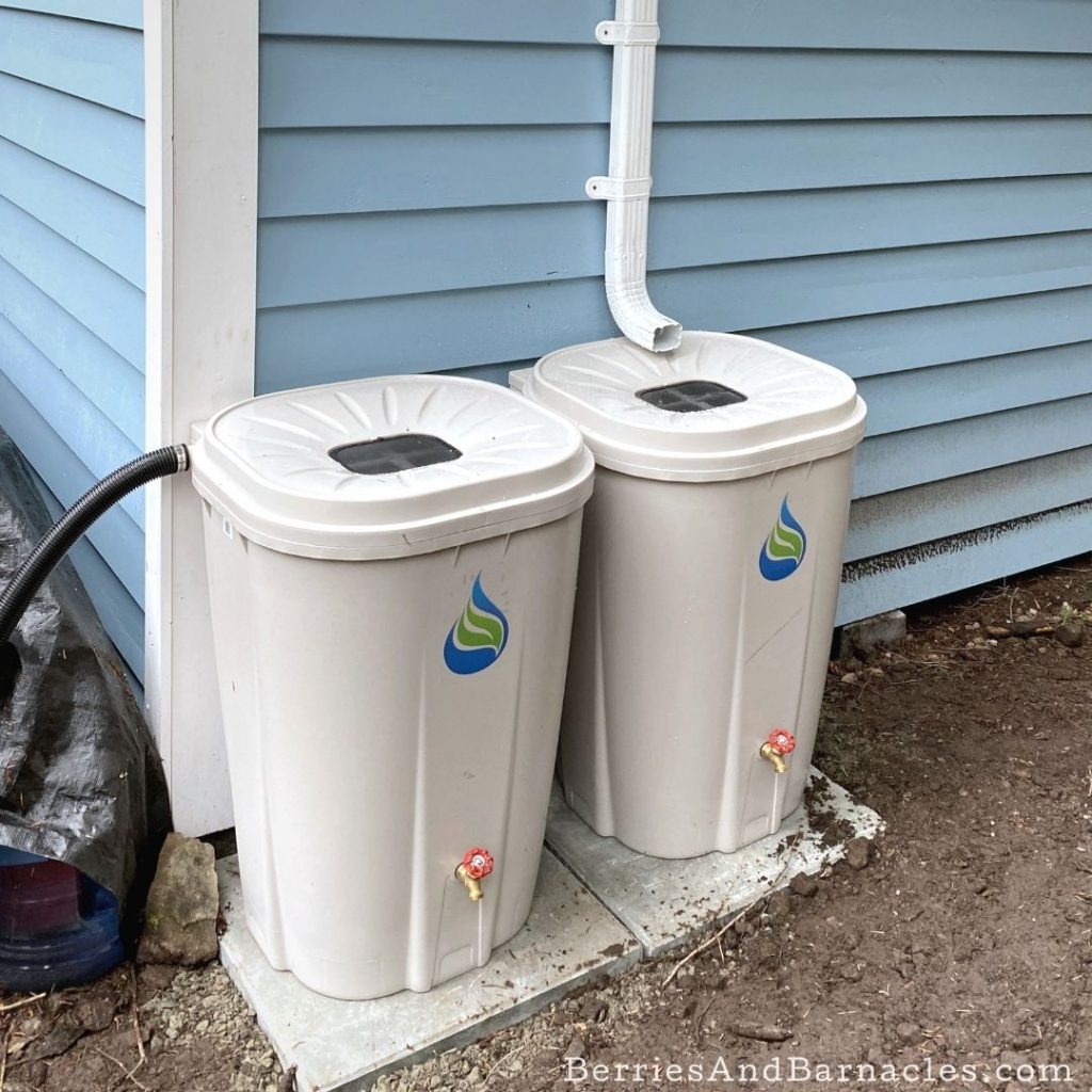 The pros and cons of buying the simplest rain barrel set up.