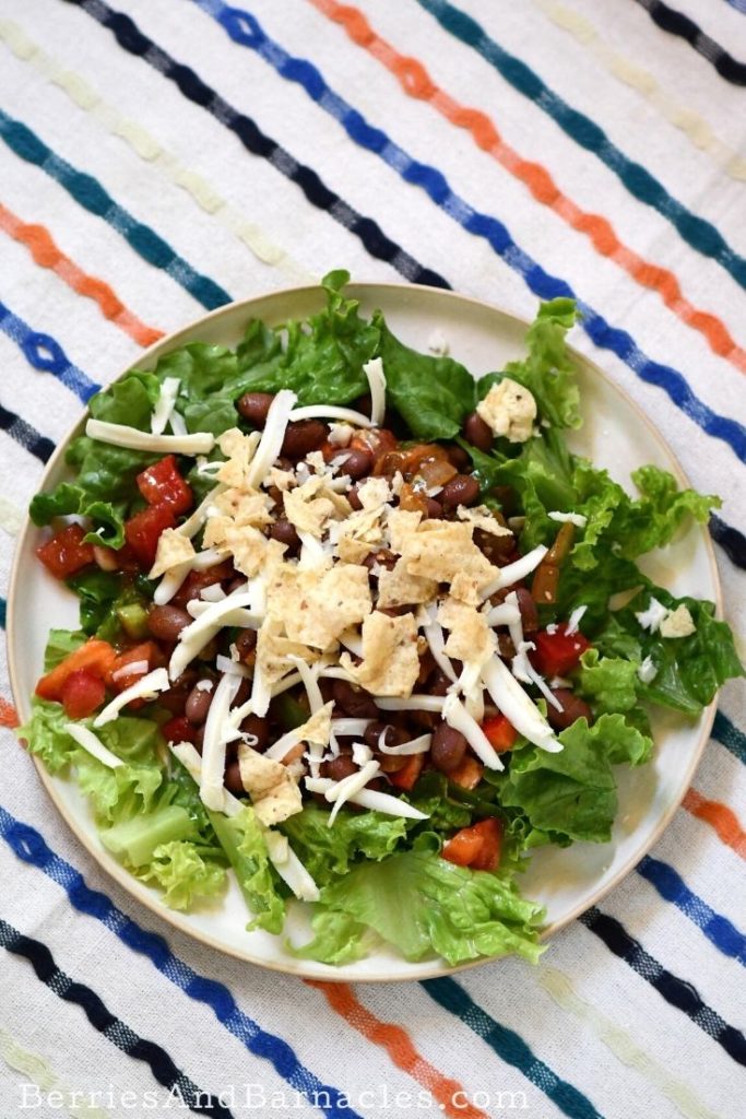 Simple vegetarian taco salad