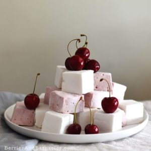 Healthy Marshmallows (Less Sweet More Flavor!)