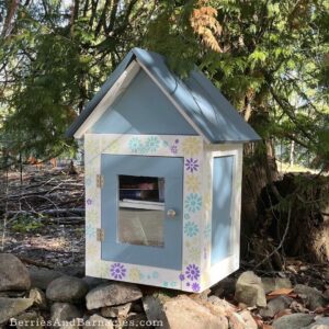 Installing A Free Library (+ Curating Advice)