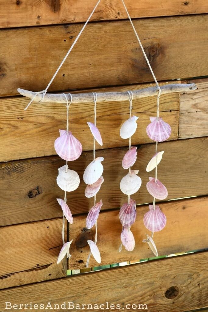 Driftwood and seashell wind chime