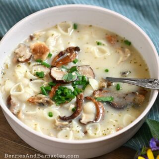 Instant mushroom soup for quick & easy meals
