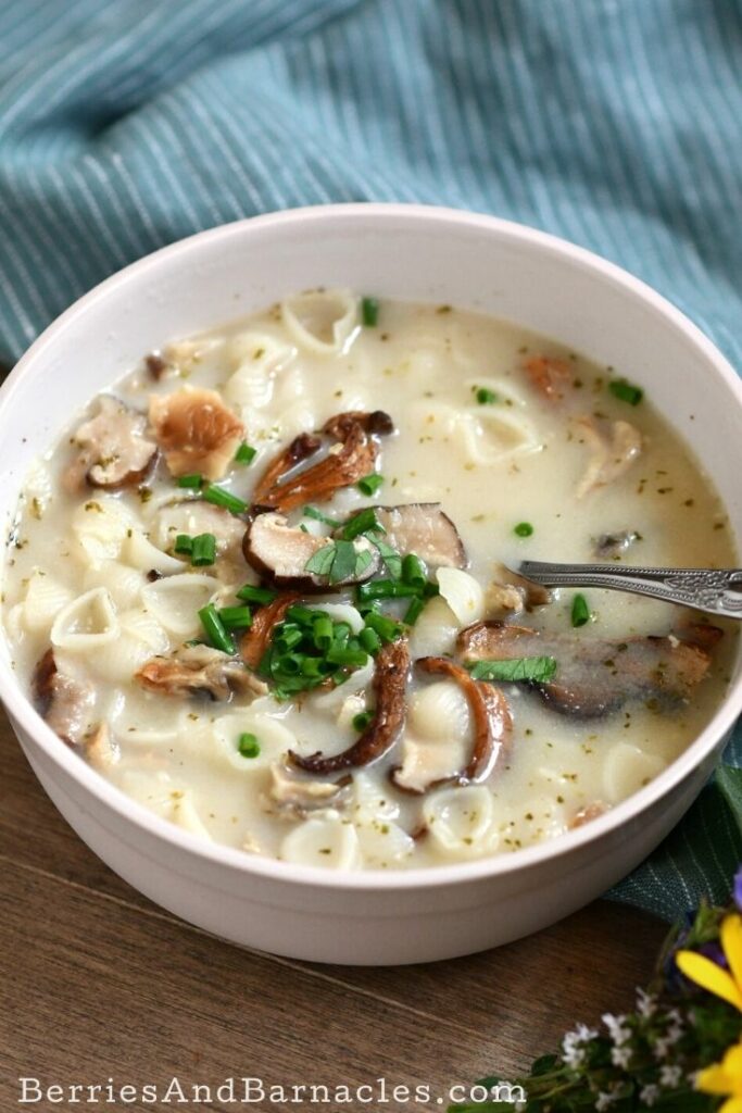 Bowl of cream of mushroom with chives.