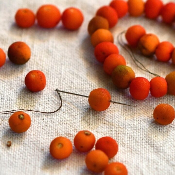How to turn arbutus berries into beads